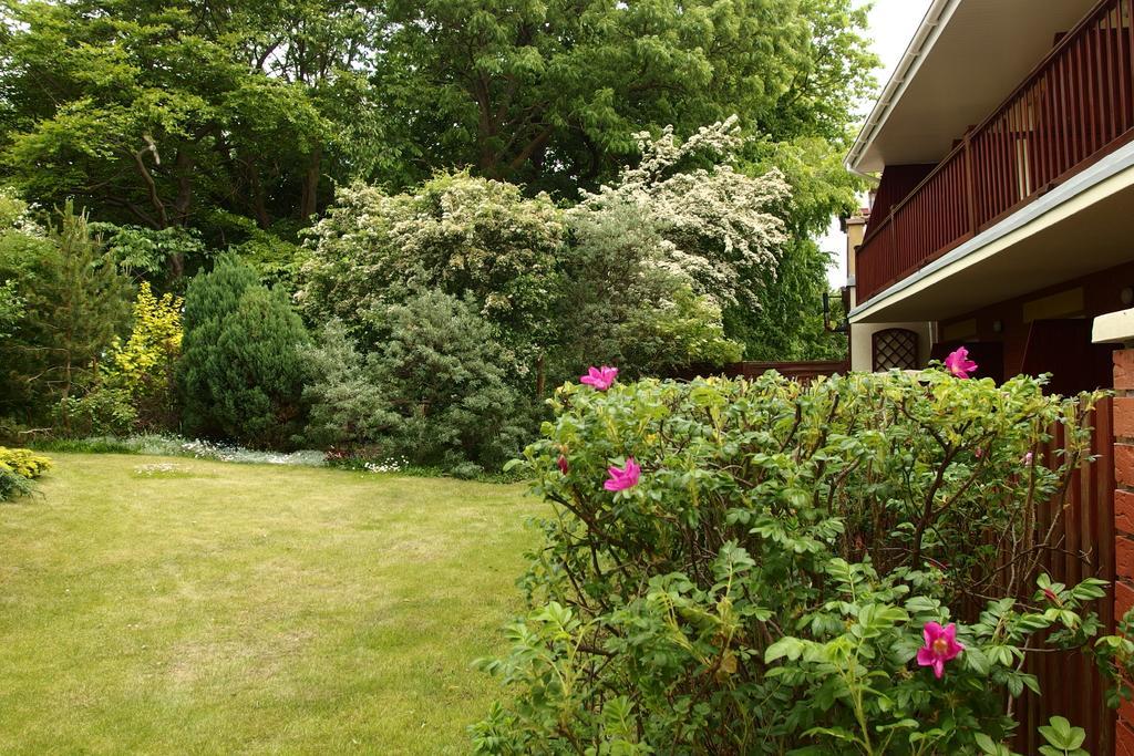 Patio Apartamenty I Pokoje Нехоже Экстерьер фото